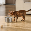 El KittySpout™ - Kit de salud y felicidad para fuente de 2,2 L