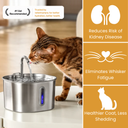 El KittySpout™ - Kit de salud y felicidad para fuente de 2,2 L